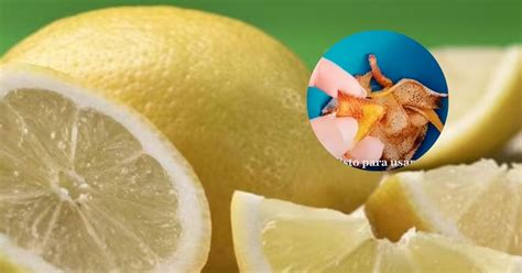 El sencillo modo de secar las cascaritas de limón sin que se pudran o ...