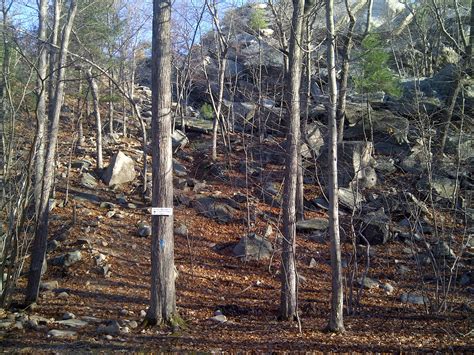 HikeyHikey!: Hiking Boston - Blue Hills Reservation Skyline Trail