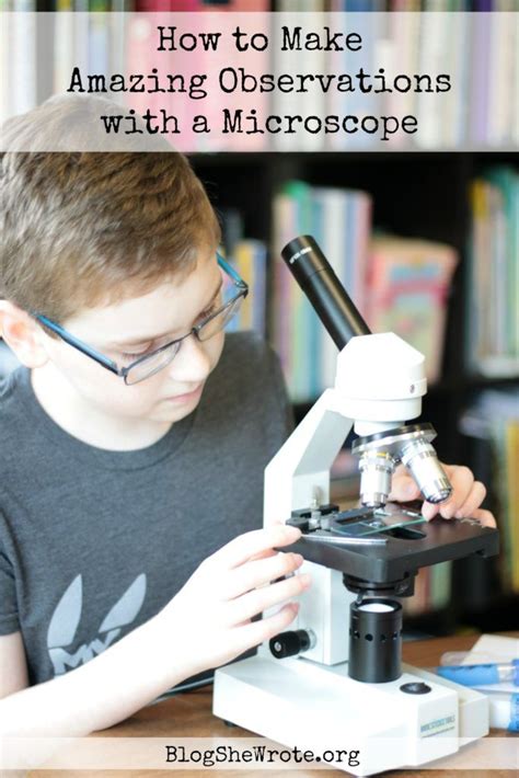Image result for How To Use A Microscope For Elementary Students