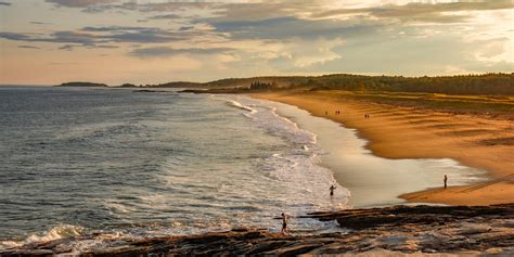 Seguin - Tree Dwellings on the Coast of Maine.
