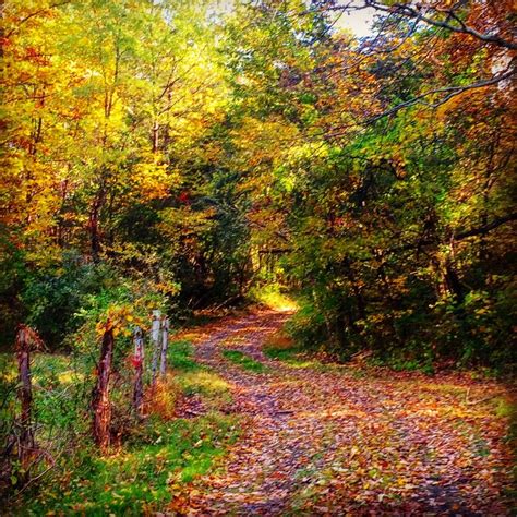 Fall in the Country 的图像结果