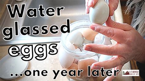 Preserve eggs by water glassing - A Farmish Kind of Life