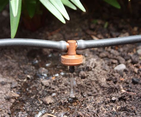 Drip irrigation system vs soaker hose: pros and cons of both | Homes ...
