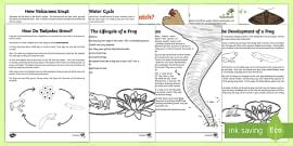 What is an Explanation Text? | Twinkl Teaching Wiki - Twinkl