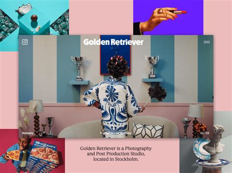 Web Flow Website Examples 的图像结果