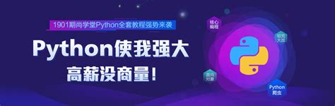 Pythonviodeo 的图像结果