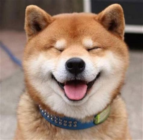 微笑（汉语词语） - 搜狗百科