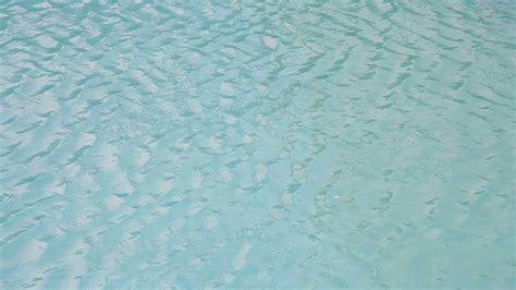 Pond Water Texture