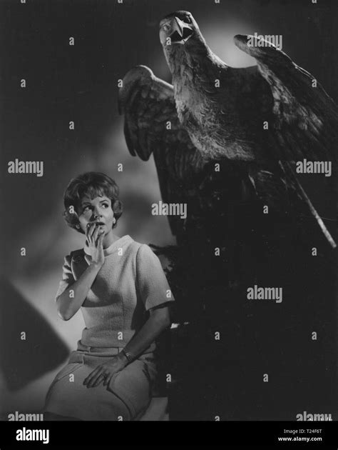 Night of the Eagle (1962) Janet Blair, Date: 1962 Stock Photo - Alamy