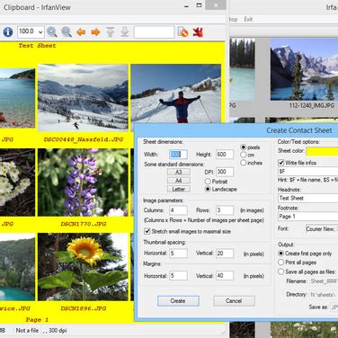 IrfanView Software 的图像结果