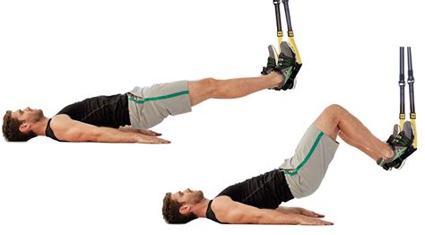 TRX Leg Curl 的图像结果