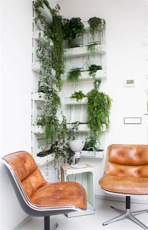 10 Ways to Display Hanging, Trailing & Cascading Plants Indoors