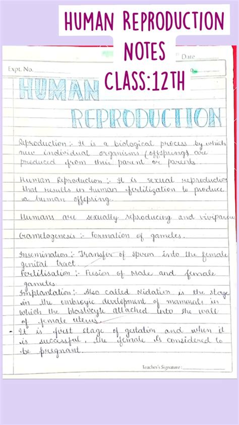 Human Reproduction English Class 12 的图像结果