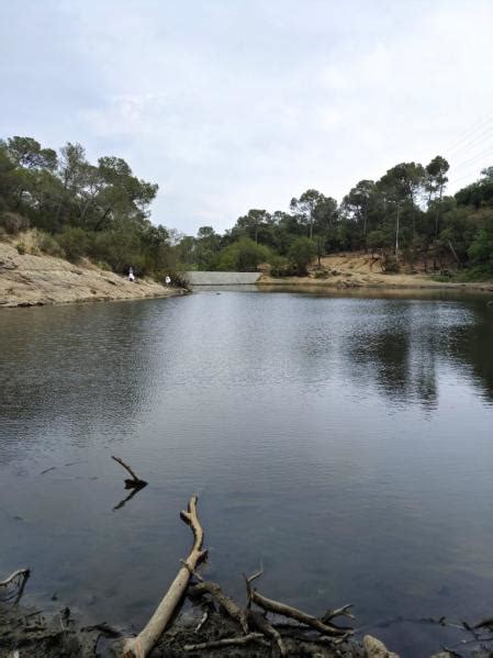 El pantano de los misterios