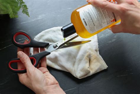 How to Clean Rust Off Scissors 的图像结果