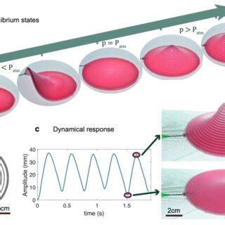 Image result for Dynamic Equilibrium State