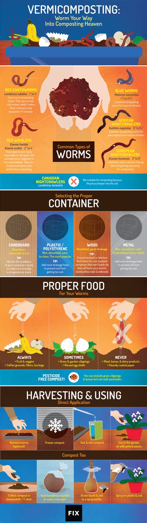 Image result for Worm Composting Tips