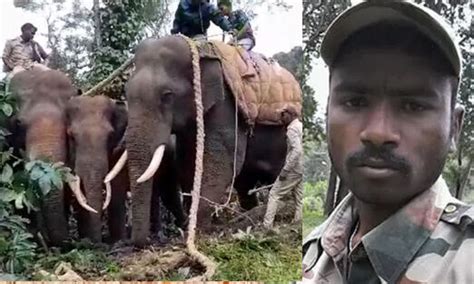 ಕೊಡಗು: ಅರಣ್ಯ ಸಿಬ್ಬಂದಿಯನ್ನು ಬಲಿ ಪಡೆದ ಕಾಡಾನೆ ಕೊನೆಗೂ ಸೆರೆ | Kodagu: The ...