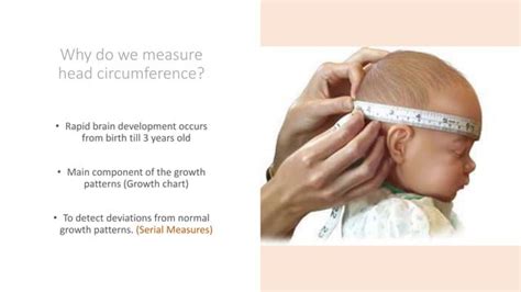 Image result for Normal Head Size