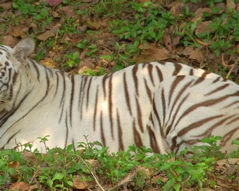 THE 10 BEST Parks & Nature Attractions in Visakhapatnam
