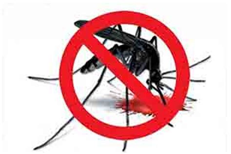 Chennai Corporation to assess dengue awareness level among residents