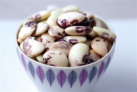 Butter Beans How Do They Grow at Bridget Huizenga blog