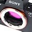 Sony introduceert de A7r II met 42,4-megapixel fullframe-bsi-sensor ...