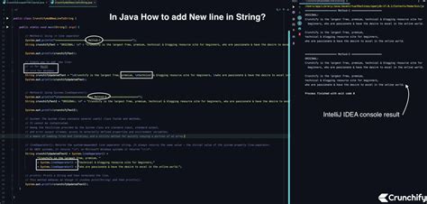 Image result for How to Do a New Line in Java