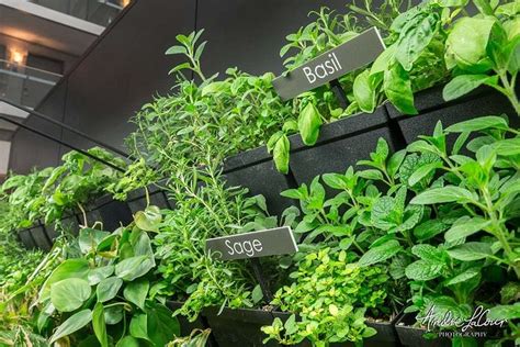 EMBASSY SUITES BY HILTON CHICAGO DOWNTOWN MAGNIFICENT MILE - Hotel ...