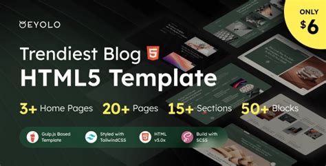 Image result for Blog Theme Using HTML