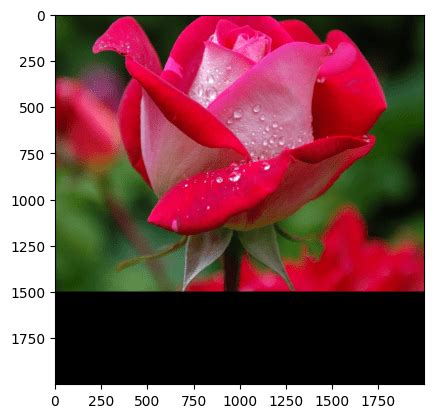 Image result for Image Processing Pil Using Python Anaconda Notebook
