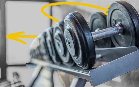 Image result for Muscle Endurance