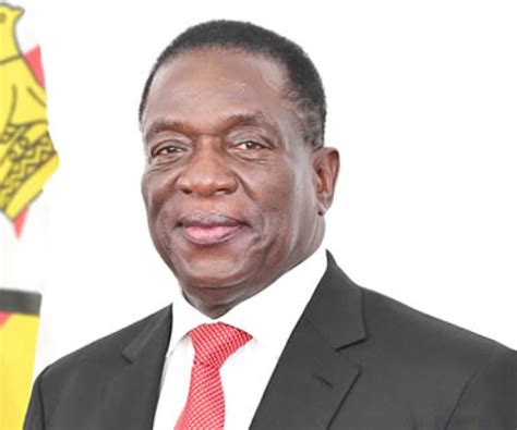 Zimbabwean President Emmerson Mnangagwa to Deliver Keynote at AEW 2025 | Egypt Oil & Gas