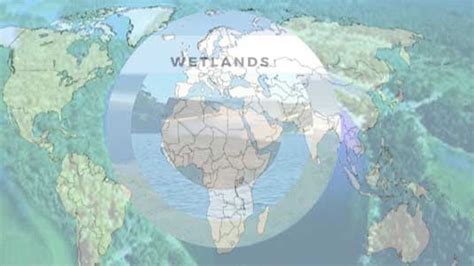 List of Major Wetland Regions of the World