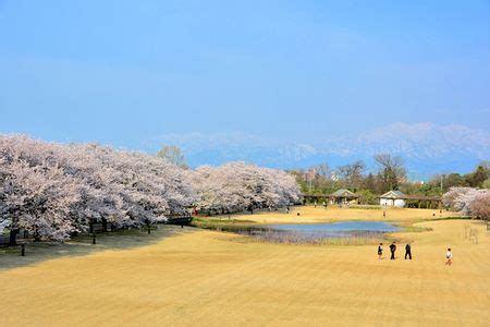 Image result for Tree Pixel Tutorial