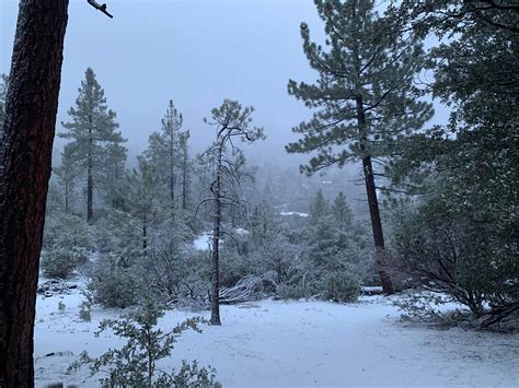 Winter wonderland in SoCal (Nature center in Idyllwild/Pine Cove ...