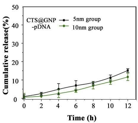 Image result for Formulation Development pDNA
