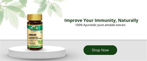 Bhumi Amla: Benefits, Nutrients, Uses and Side Effects