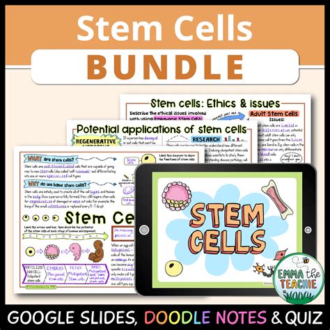 Stem Cells Free Science Lessons 的图像结果