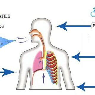 Image result for Volatile Organic Compound Sources