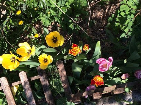 LA SPINGARDA BED & BREAKFAST (Luzzara) - B&B Reviews & Photos - Tripadvisor