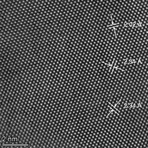 Electron Microscope 的图像结果