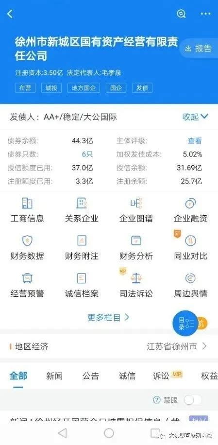 大佛：徐州区域主要融资平台概况_信用