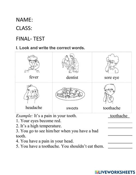 Animals Class 5 的图像结果