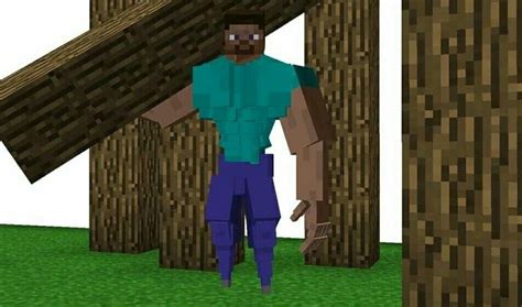Image result for Minecraft Feet Mod