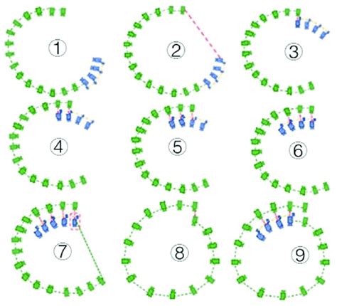 Image result for Loopback Tutorial