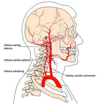 Image result for Computer Program Triangle