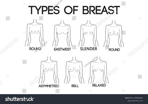 Various Types Of Breast