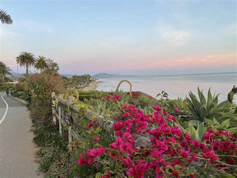 Is Butterfly Beach Dog Friendly