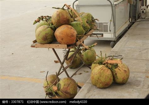 路边摆买的海南椰子高清图片下载_红动中国